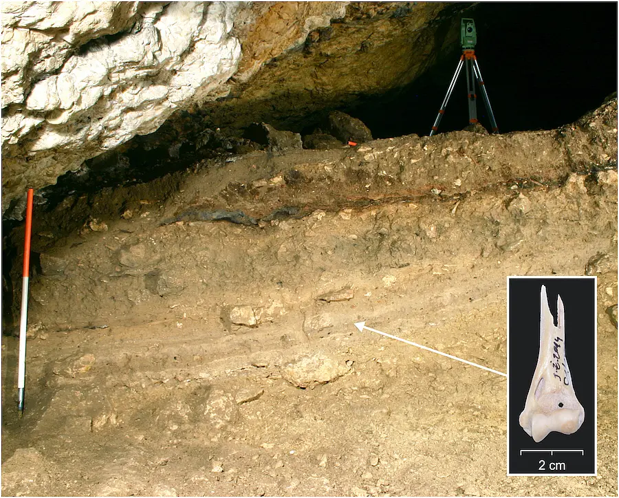 Żarska Cave