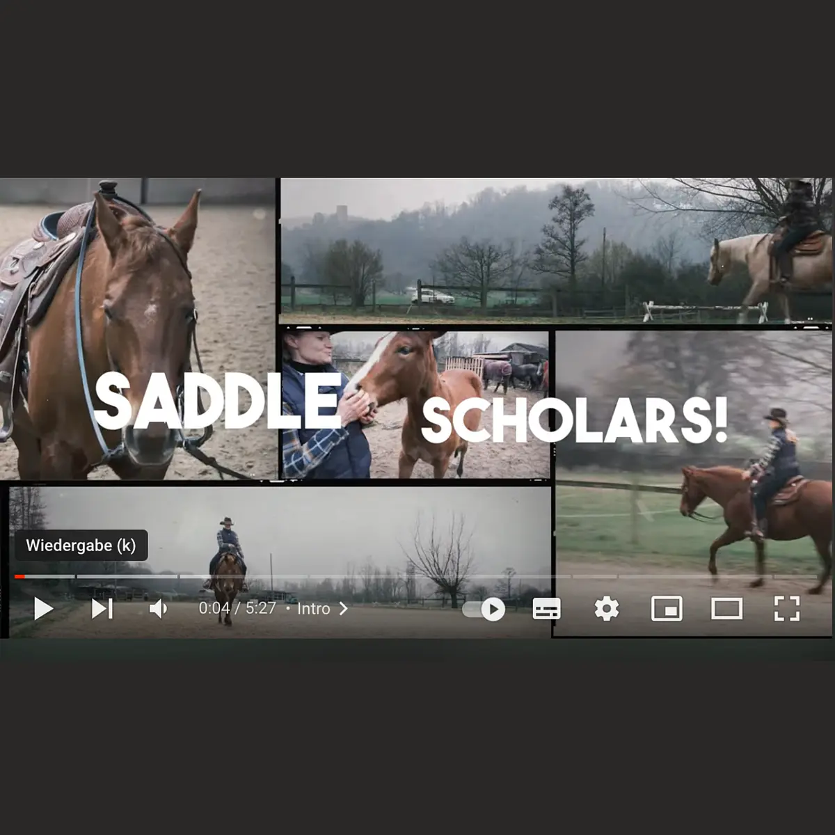Saddle Up Cover