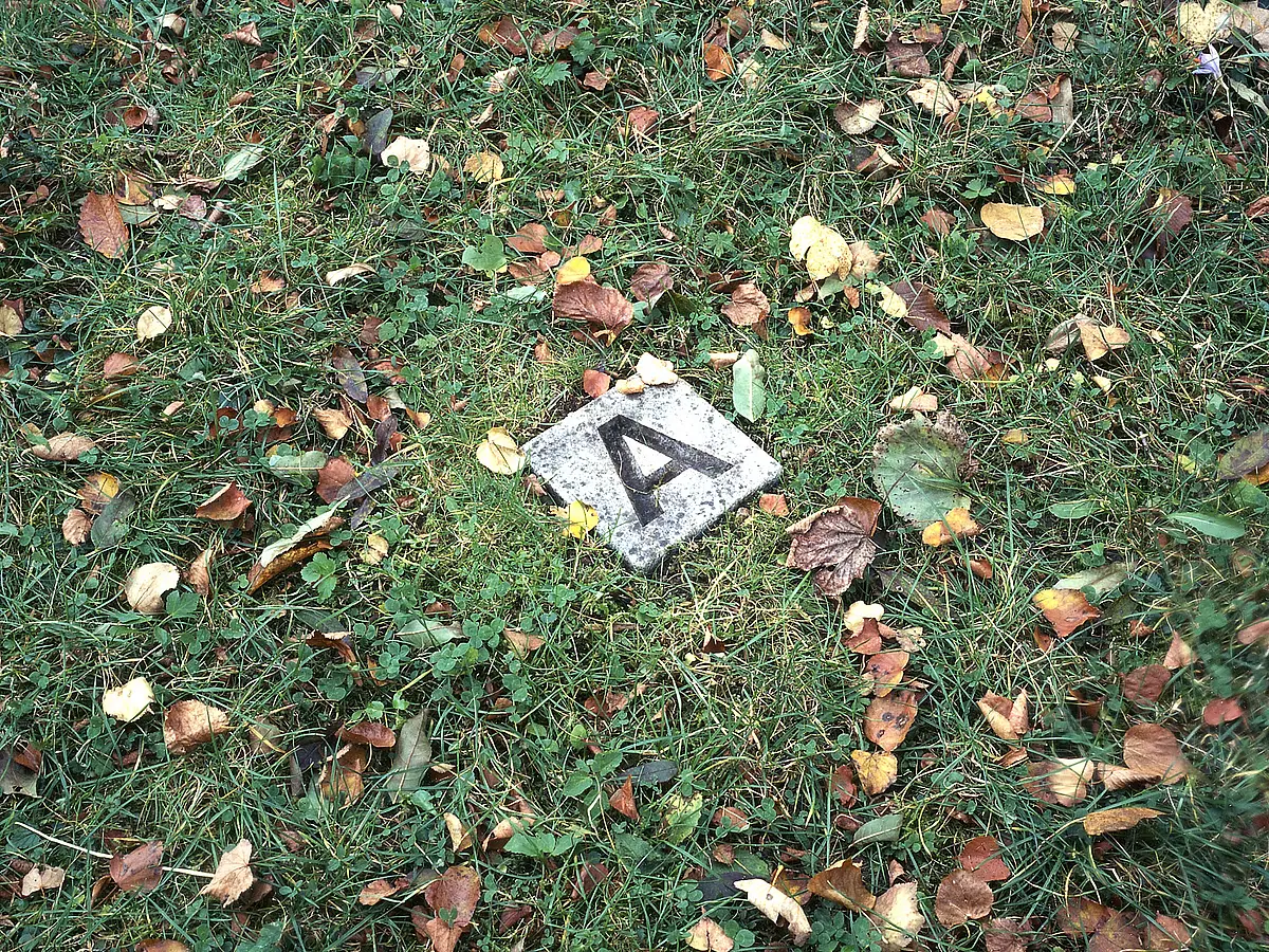 Buchstabe „A” in einen einzelnen Stein graviert auf einer Wiese
