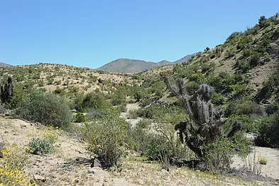 Transition zone in north-central Chile