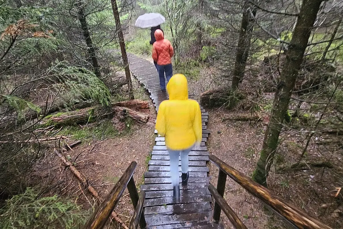 A wet walk