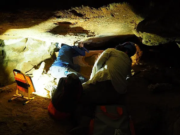 Ausgrabung einer fossilienhaltigen Schicht