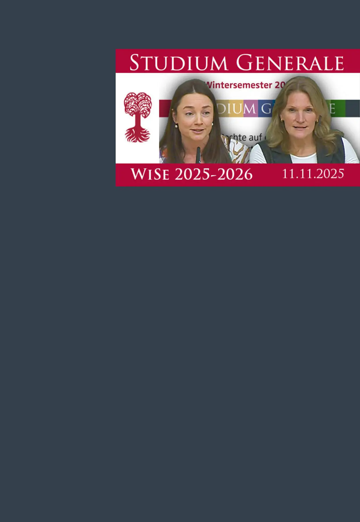 Die Grafik zeigt die Preview der Aufzeichnung.