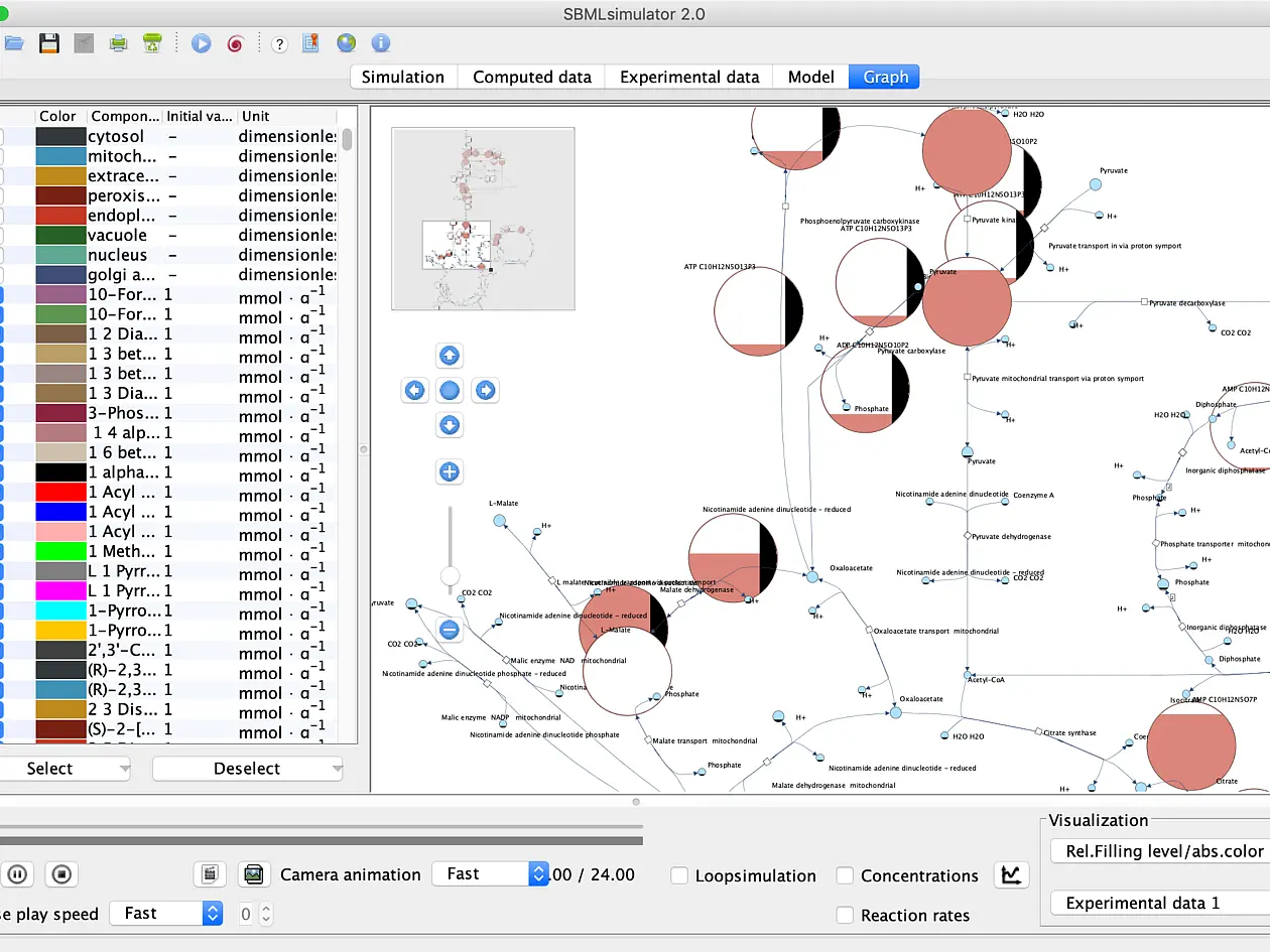 Graphansicht in SBMLsimulator 2.0