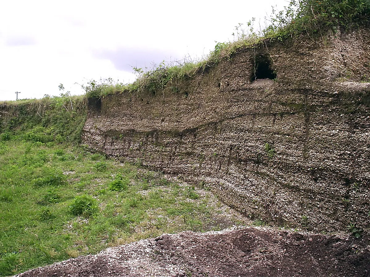The researchers’ analyses show that sambaqui communities were not a genetically homogeneous population.