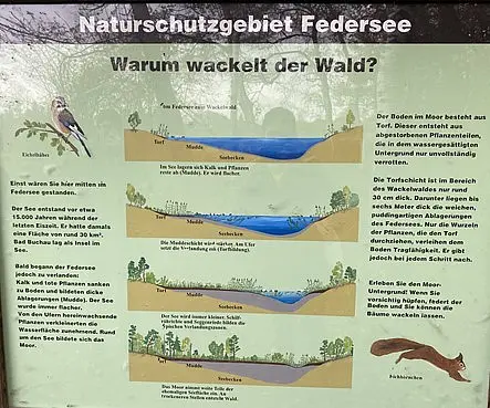A board explaining the formation of the Federsee Wackelwald