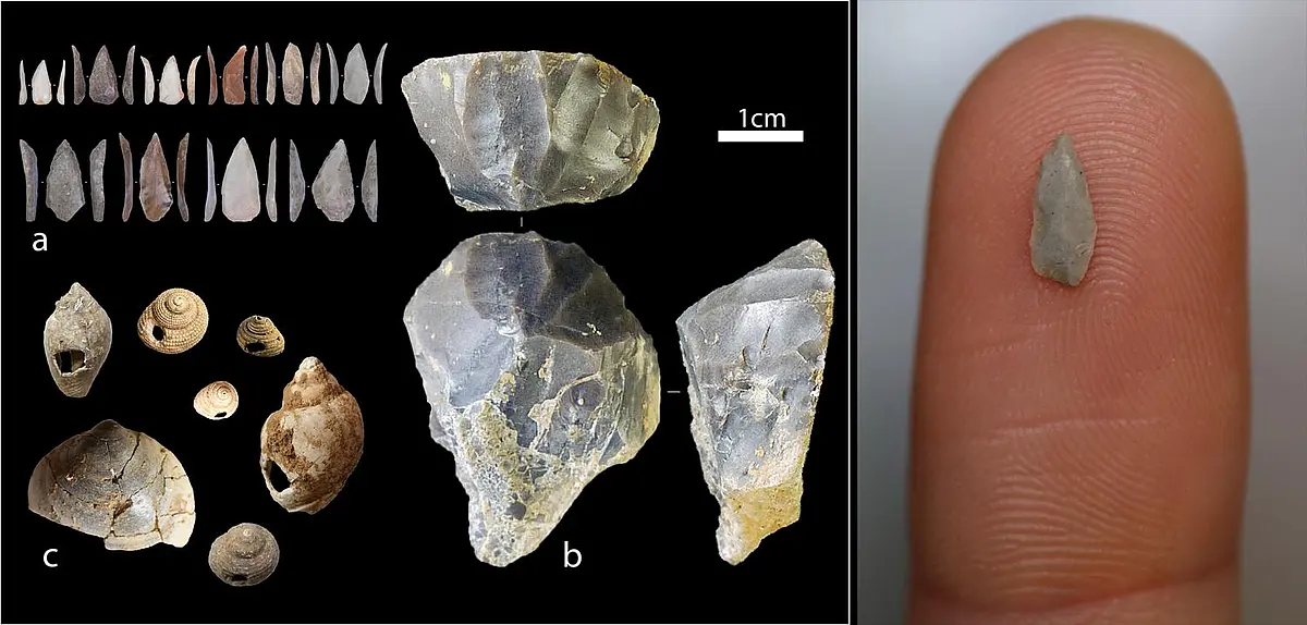 Examples of material culture remains discovered in Grotta di Castelcivita: micro-points and stone cores they were extracted from, marine shells perforated for decorative purposes. On the right, one of the micro-points on top of a fingertip.