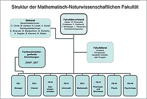 Struktur der neuen Mathematisch-Naturwissenschaftliche Fakultät (MNF): Die Abkürzung FB steht für Fachbereich