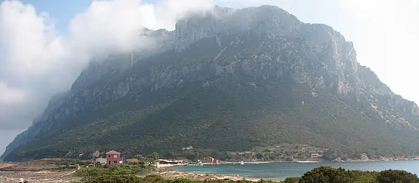 Tavolara island