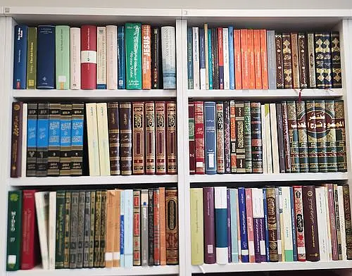 Bücherregal