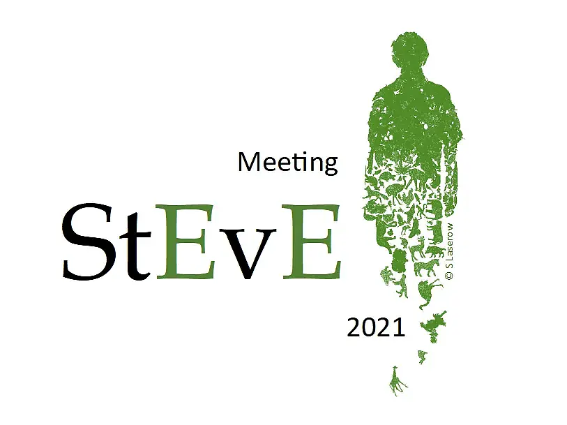 Logo Meeting StEvE 2021