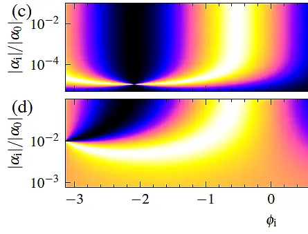 QFI as function of phi_i