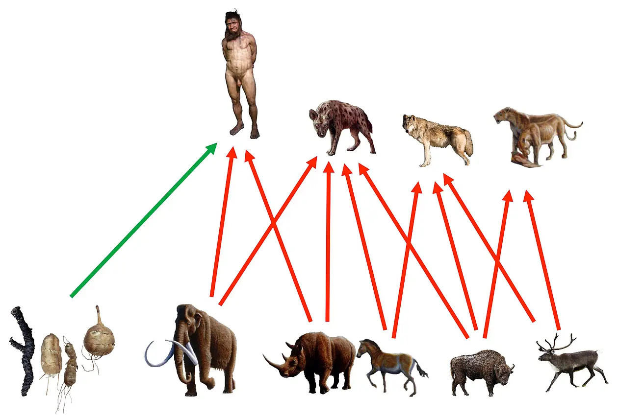 Die verschiedenen Jäger und ihre Beutetiere. Grafik: © Bocherens