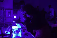 Zahlreiche Experimente und Mitmachangebote erwarten die Besucher des zweiten Tübinger Fenster für Forschung (TÜFFF) am 8. Mai 2015. Foto: Friedhelm Albrecht/Universität Tübingen