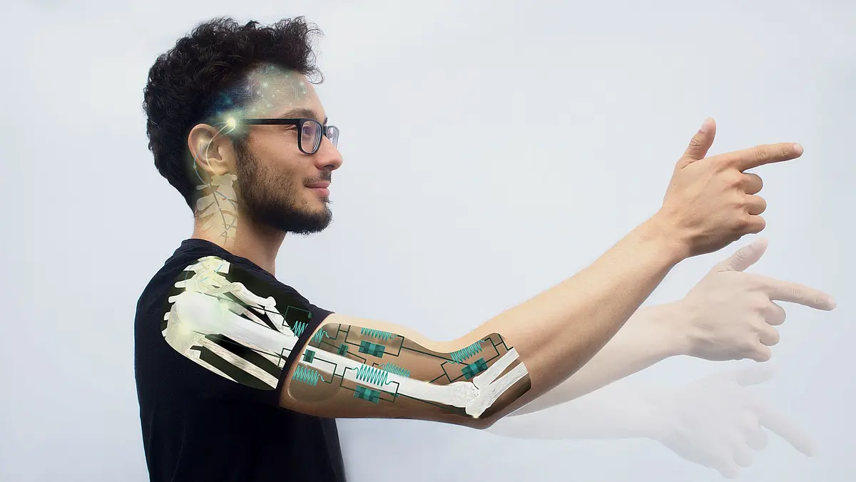 Neuromechanics modelling of human movement