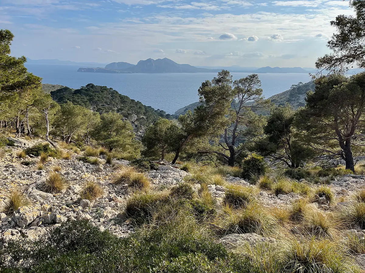 Panorama of Mountains and Sea