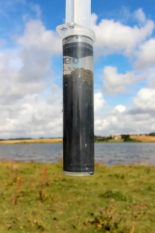 Probennahme aus dem Sediment der dänischen Ostseeküste