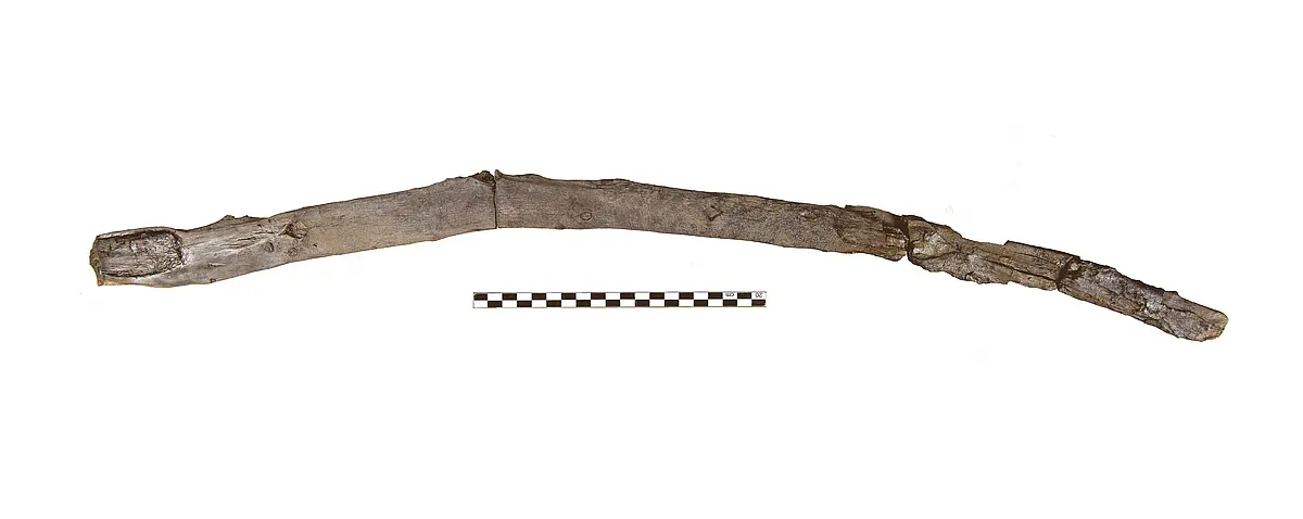 Digging or multifunctional stick 