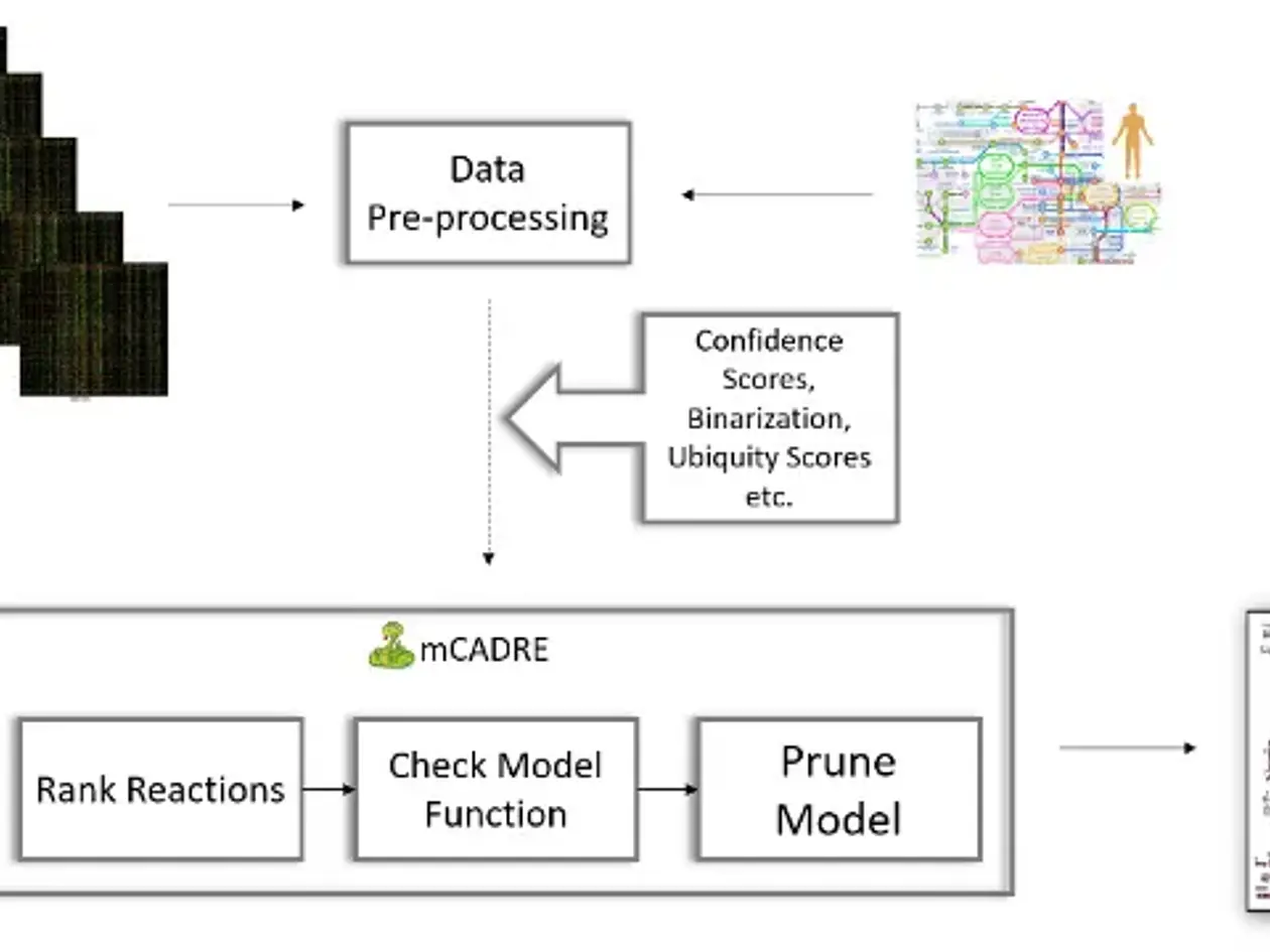 Overview of tissue-specific reconstruction using pymCADRE, including the data collection and curation steps