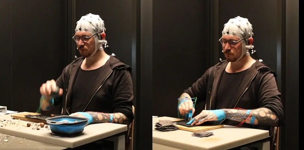 A researcher demonstrates the tasks the participants were asked to perform during the experiment: on the left, cracking nuts and on the right, cutting leather using stone tools. 