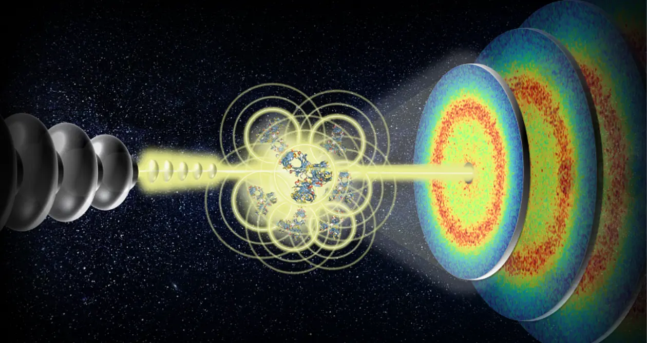 Artist’s impression of the MHz-XPCS technique being used to measure the dynamics of proteins in dense solutions