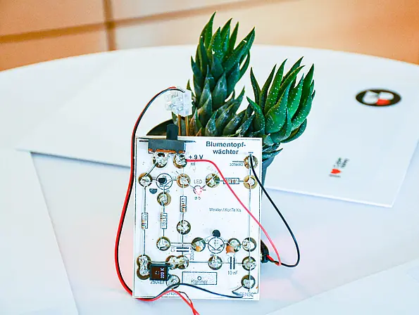 Eine Pflanze im Topf mit einem elektronischen Blumentopfwächter mit Drähten und Dioden