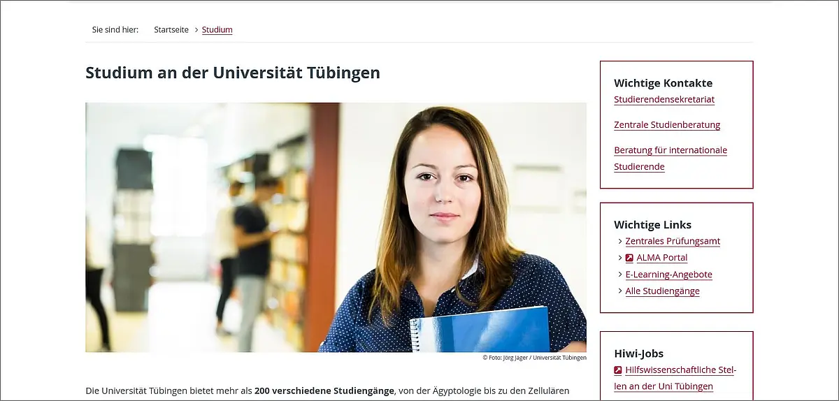 Hauptbereich Studium