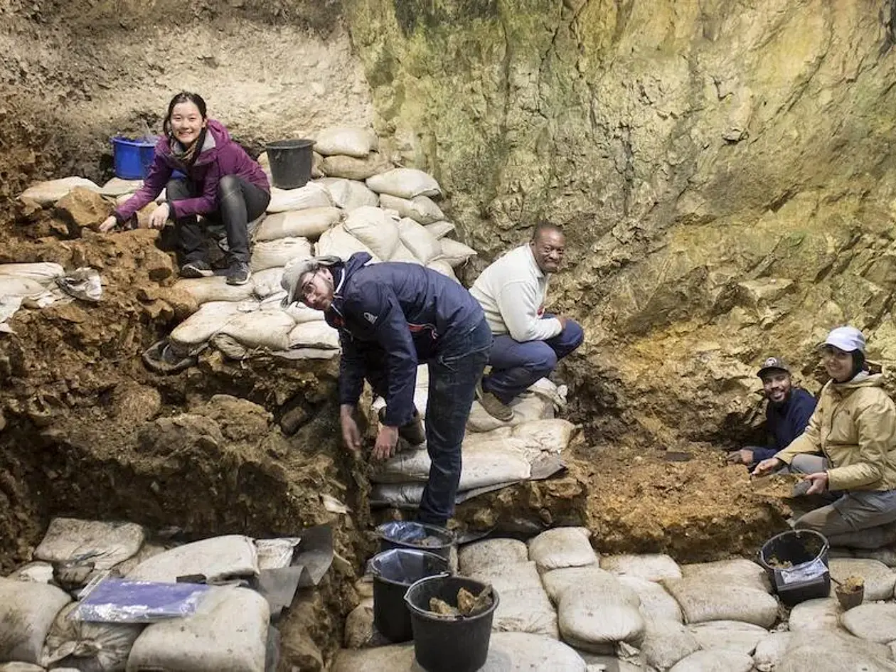 Hohle Fels 2019 –Grabungsübersicht 