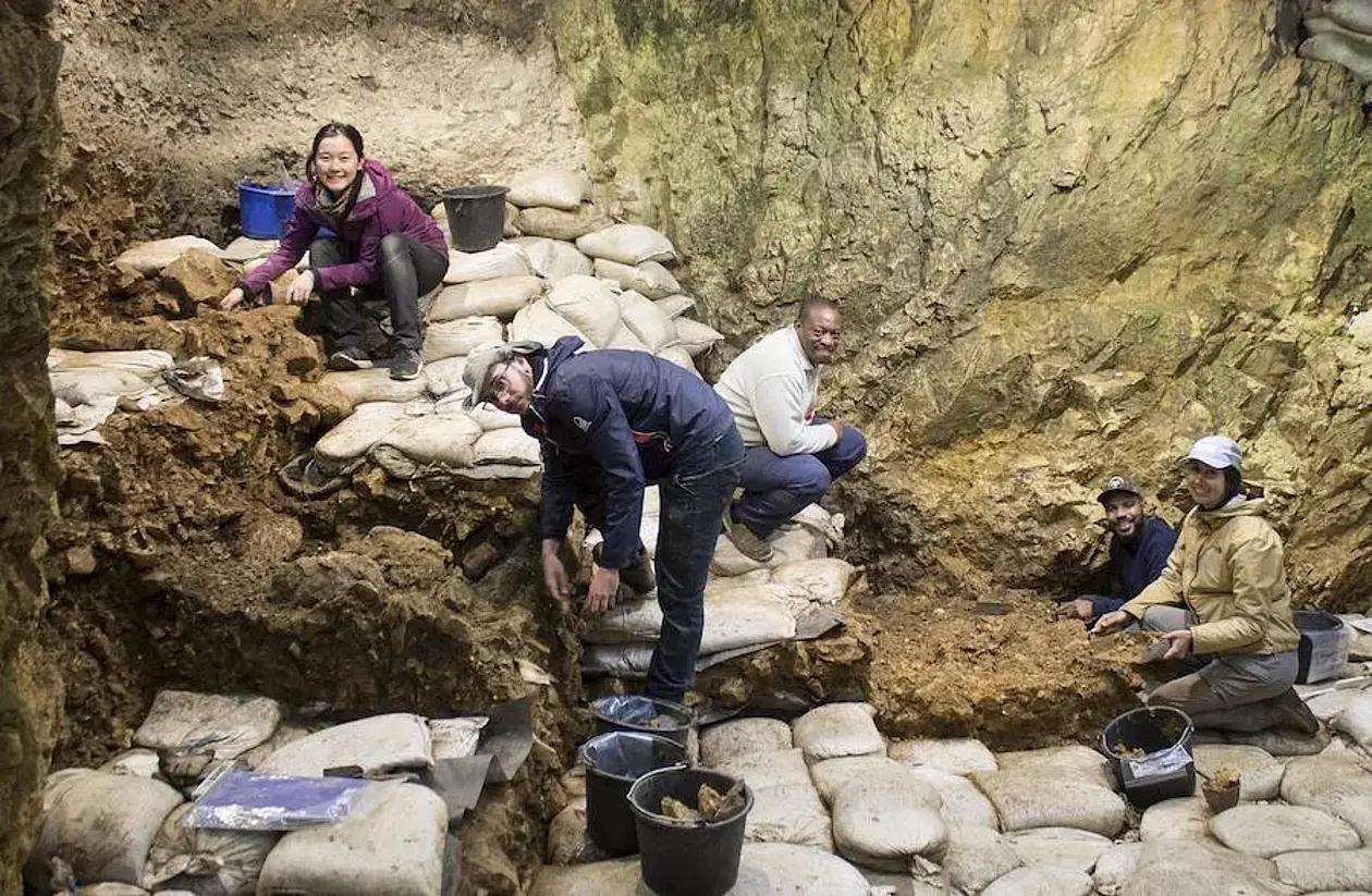 Hohle Fels 2019 –Grabungsübersicht 