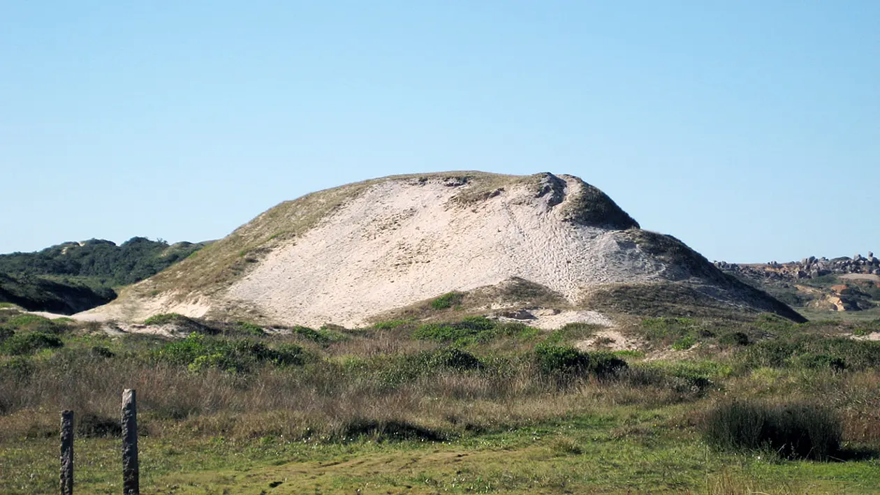 Along a stretch of more than 3,000 kilometers on the Atlantic coast of Brazil, there are numerous so-called sambaquis, mounds of shells and other calcareous material.