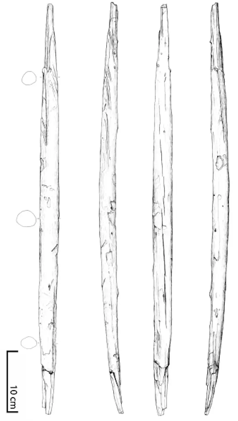 Zeichnung des Wurfstocks aus Schöningen
