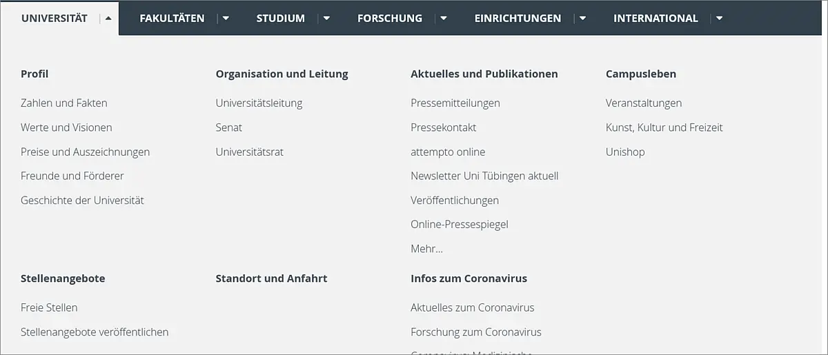 Hauptbereiche hellgrauer Kasten