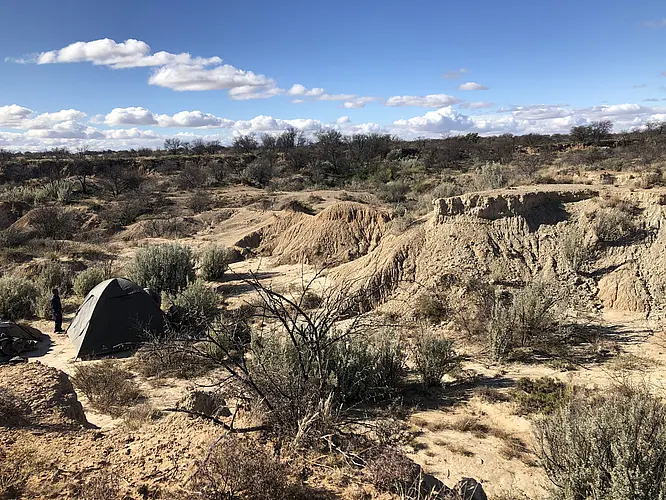 Landscape around the site of Lovedale