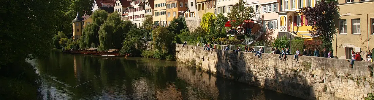 Dieses Bild zeigt die berühmte Neckarfront, einer Reihe Fachwerkhäuser mit Blick auf den Neckar. Entlang der Neckarfront verläuft eine Mauer auf der Menschen sitzen. Auf der linken Seite des Bildes kann man die Baumkronen der Pappeln auf der Neckarinsel sehen.