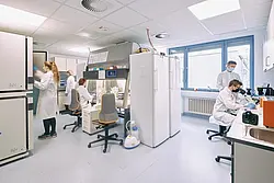 Bild aus dem Labor