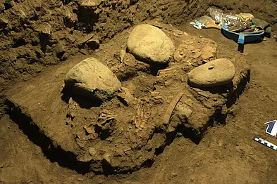 Exposed skeleton in the found grave