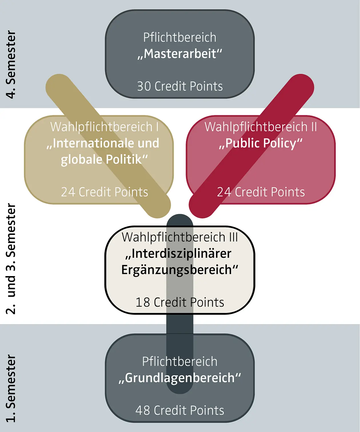 Schematische Darstellung der Y-Struktur des Studiengangs