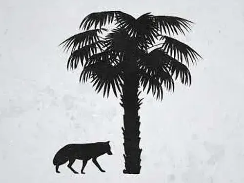 Date Palms in Iran. A film with Dr. Wulf Frauen