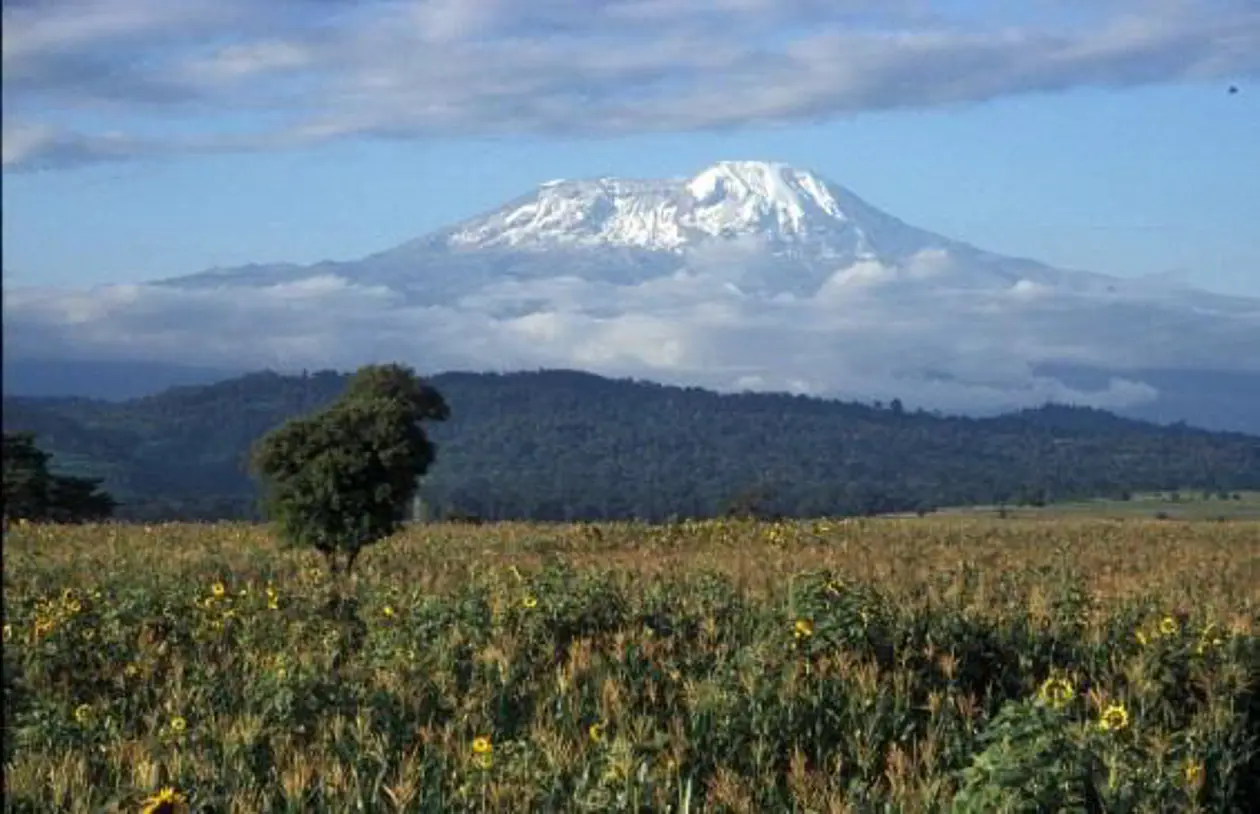 Der Kilimanjaro: Auf Afrikas höchstem Berg finden sich Savanne, Regenwald und Gletscher in enger Nachbarschaft. Foto: Andreas Hemp