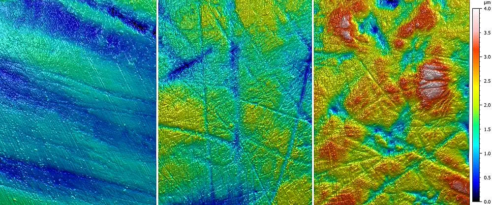 Three microscopic, colored images side by side, in which different structures can be seen