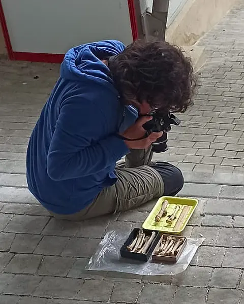 Wissenschaftler fotografiert auf dem Boden sitzend Knochenfunde.