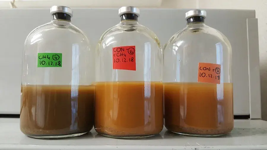 Sediment incubation experiment