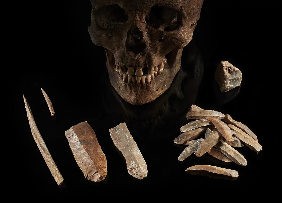Skull and stone tools