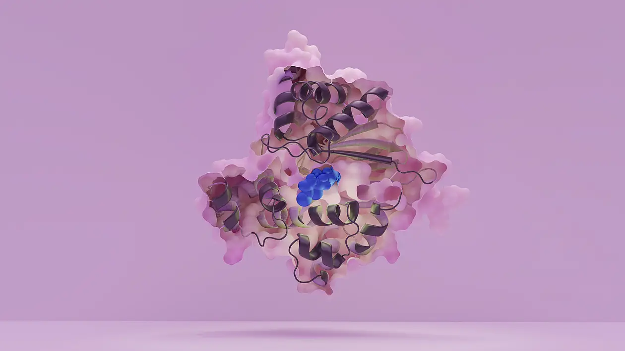 Schnitt durch ein Protein: Blick ins Innere des HilD-Regulators und auf die Bindungsstelle für den Pathoblocker.