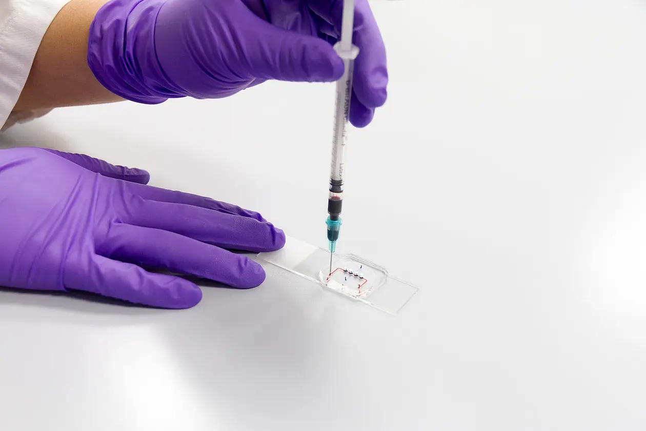Organ-on-a-chip system