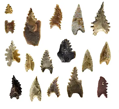 Several jagged stone arrowheads, in different sizes
