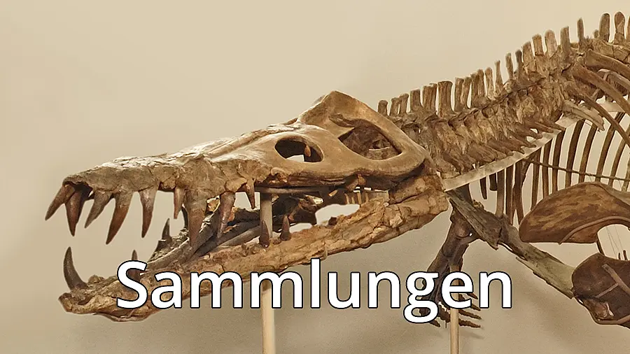 Sammlungen