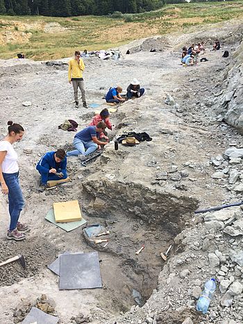 Excavations at the Ihark&uacute;t fossil find site in Hungary.