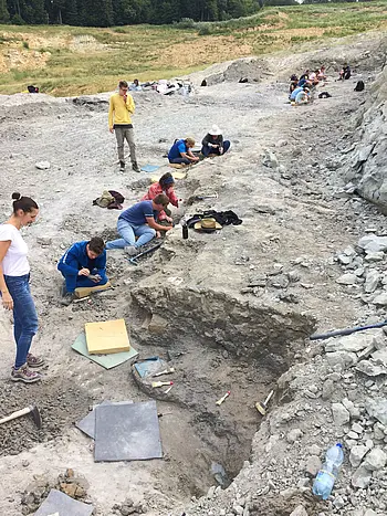 Ausgrabungen an der Fossilienfundstätte Iharkút in Ungarn. 