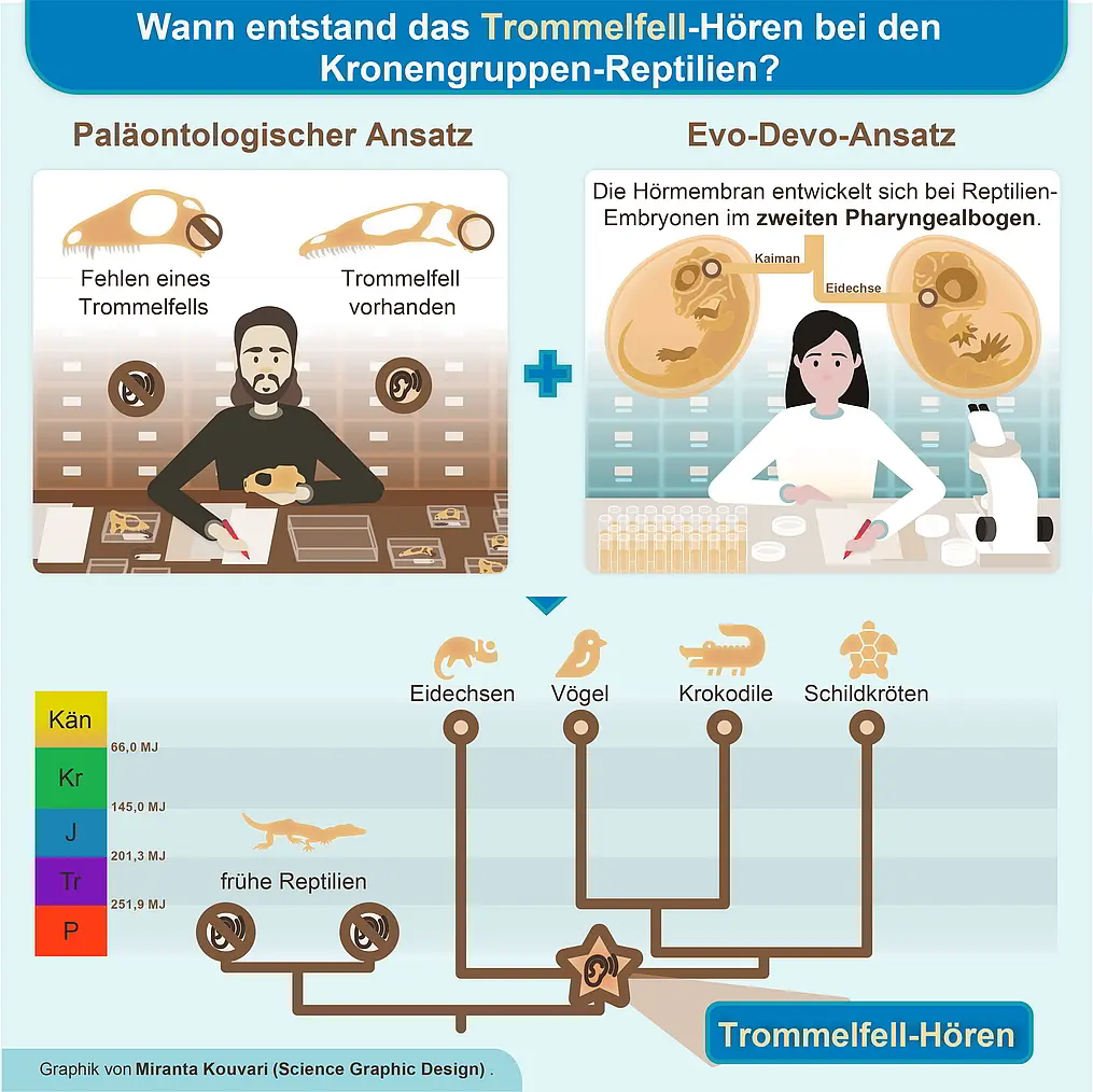 Graphische Zusammenfassung der Studie